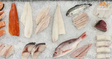 what is white fish|10 Best White Fish to Eat According to Chefs.